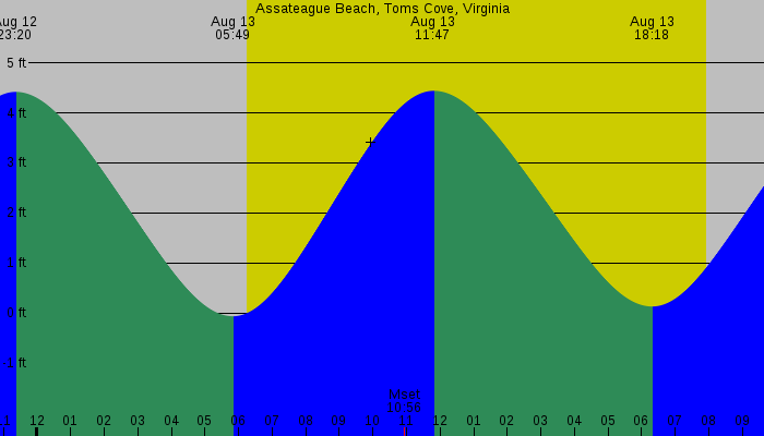 Tide graph for Assateague Beach, Toms Cove, Virginia