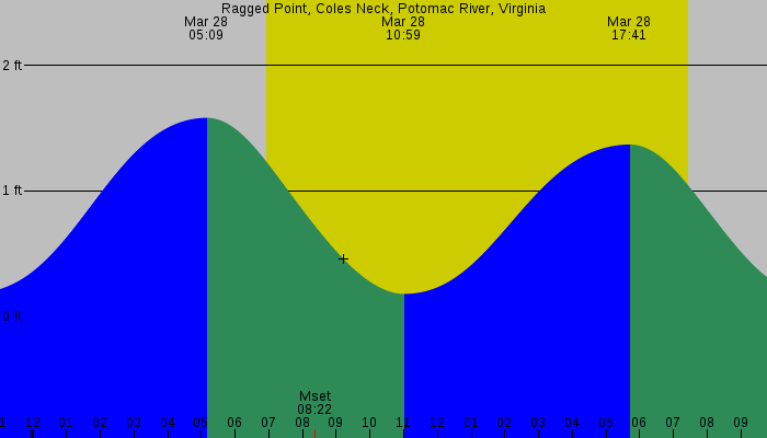 Tide graph for Ragged Point, Coles Neck, Potomac River, Virginia