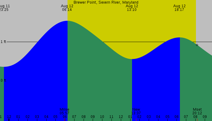 Tide graph for Brewer Point, Severn River, Maryland