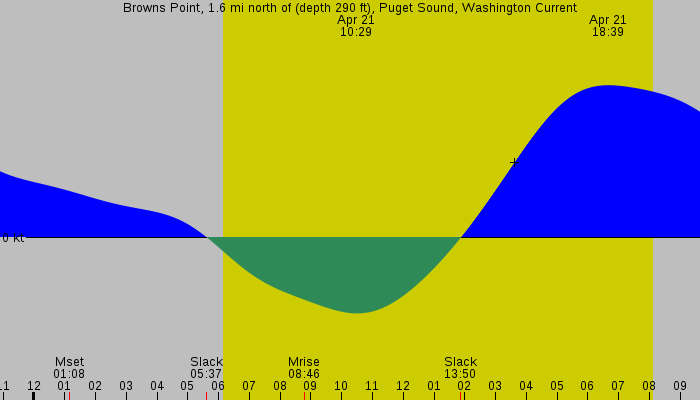Tide graph for Browns Point, 1.6 mi north of (depth 290 ft), Puget Sound, Washington Current