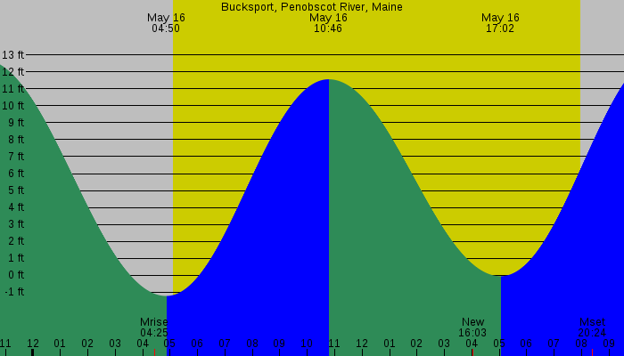 Tide graph for Bucksport, Penobscot River, Maine