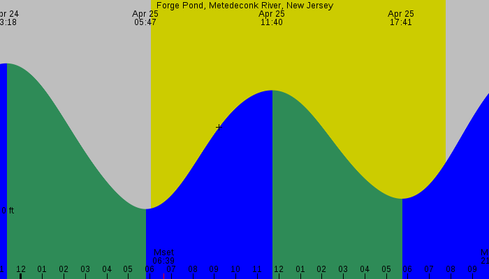 Tide graph for Forge Pond, Metedeconk River, New Jersey