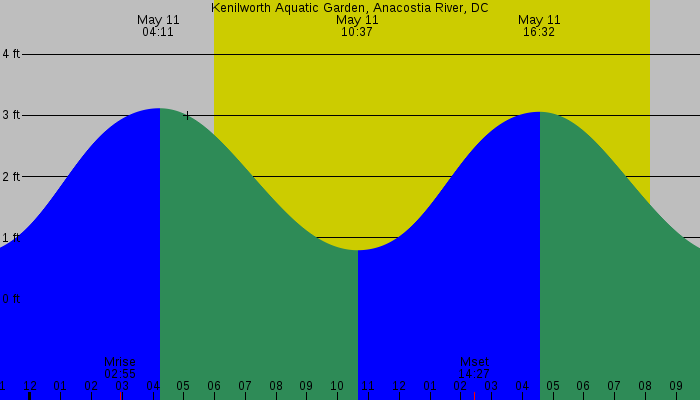 Tide graph for Kenilworth Aquatic Garden, Anacostia River, DC