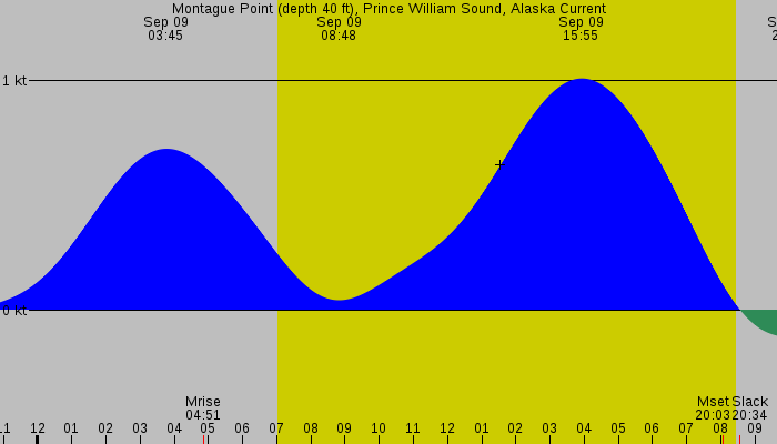 Tide graph for Montague Point (depth 40 ft), Prince William Sound, Alaska Current