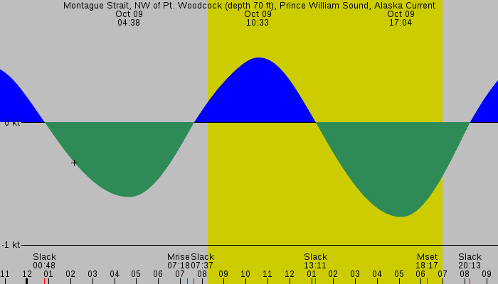 Tide graph for Montague Strait, NW of Pt. Woodcock (depth 70 ft), Prince William Sound, Alaska Current
