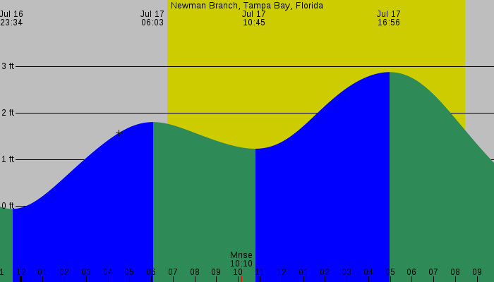 Tide graph for Newman Branch, Tampa Bay, Florida