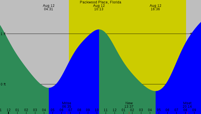 Tide graph for Packwood Place, Florida