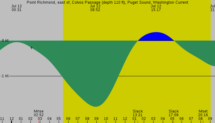 Tide graph for Point Richmond, east of, Colvos Passage (depth 110 ft), Puget Sound, Washington Current