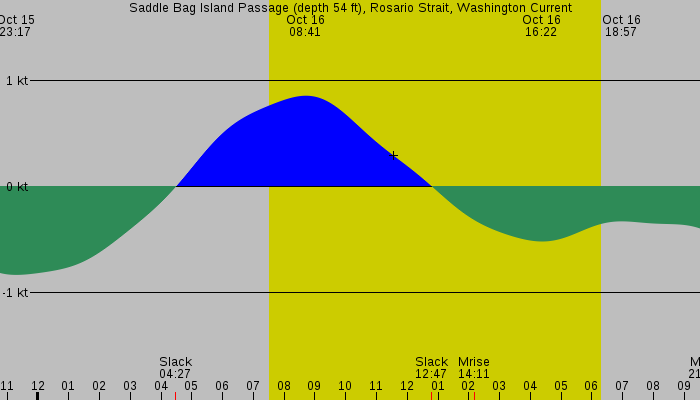 Tide graph for Saddle Bag Island Passage (depth 54 ft), Rosario Strait, Washington Current