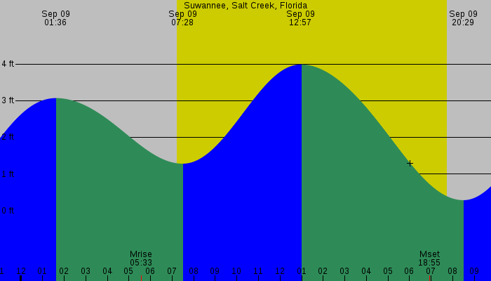 Tide graph for Suwannee, Salt Creek, Florida