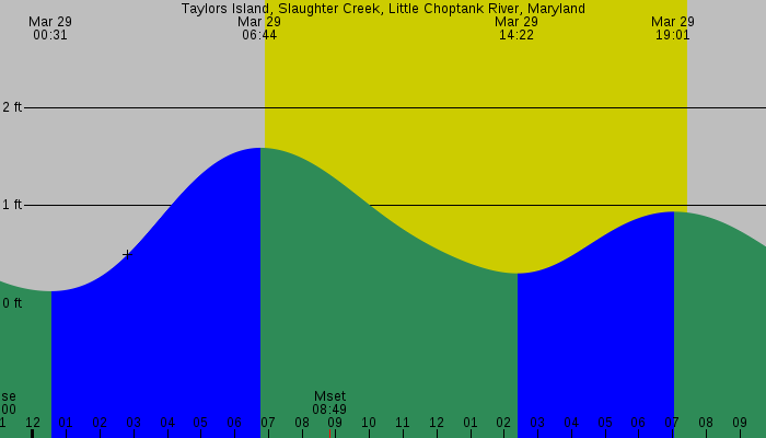 Tide graph for Taylors Island, Slaughter Creek, Little Choptank River, Maryland