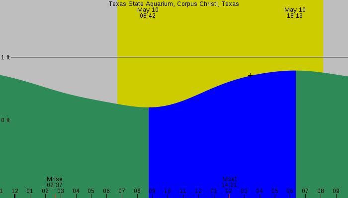 Tide graph for Texas State Aquarium, Corpus Christi, Texas